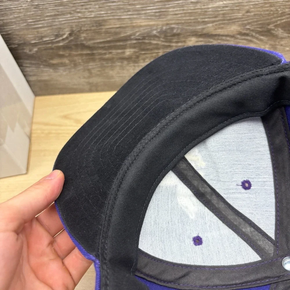 Vintage Minnesota Vikings Hat Cap Snap Back Purple NFL Football Logo Athletic